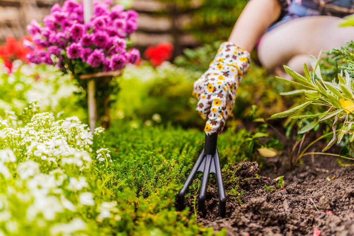 Spring gardening